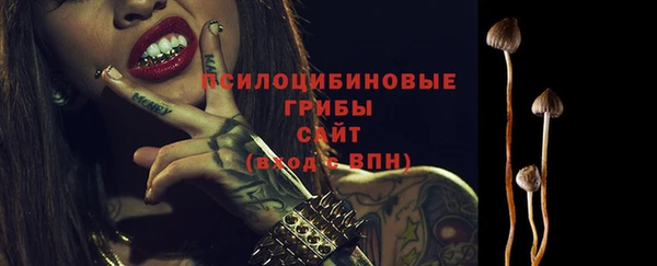 ешки Алзамай