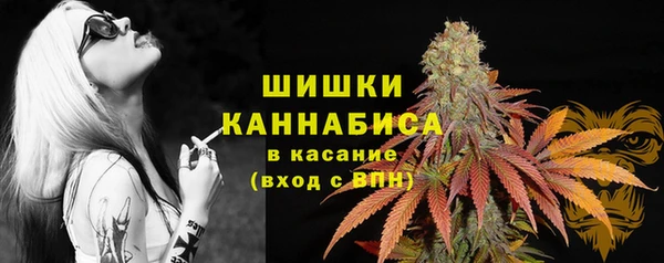ешки Алзамай